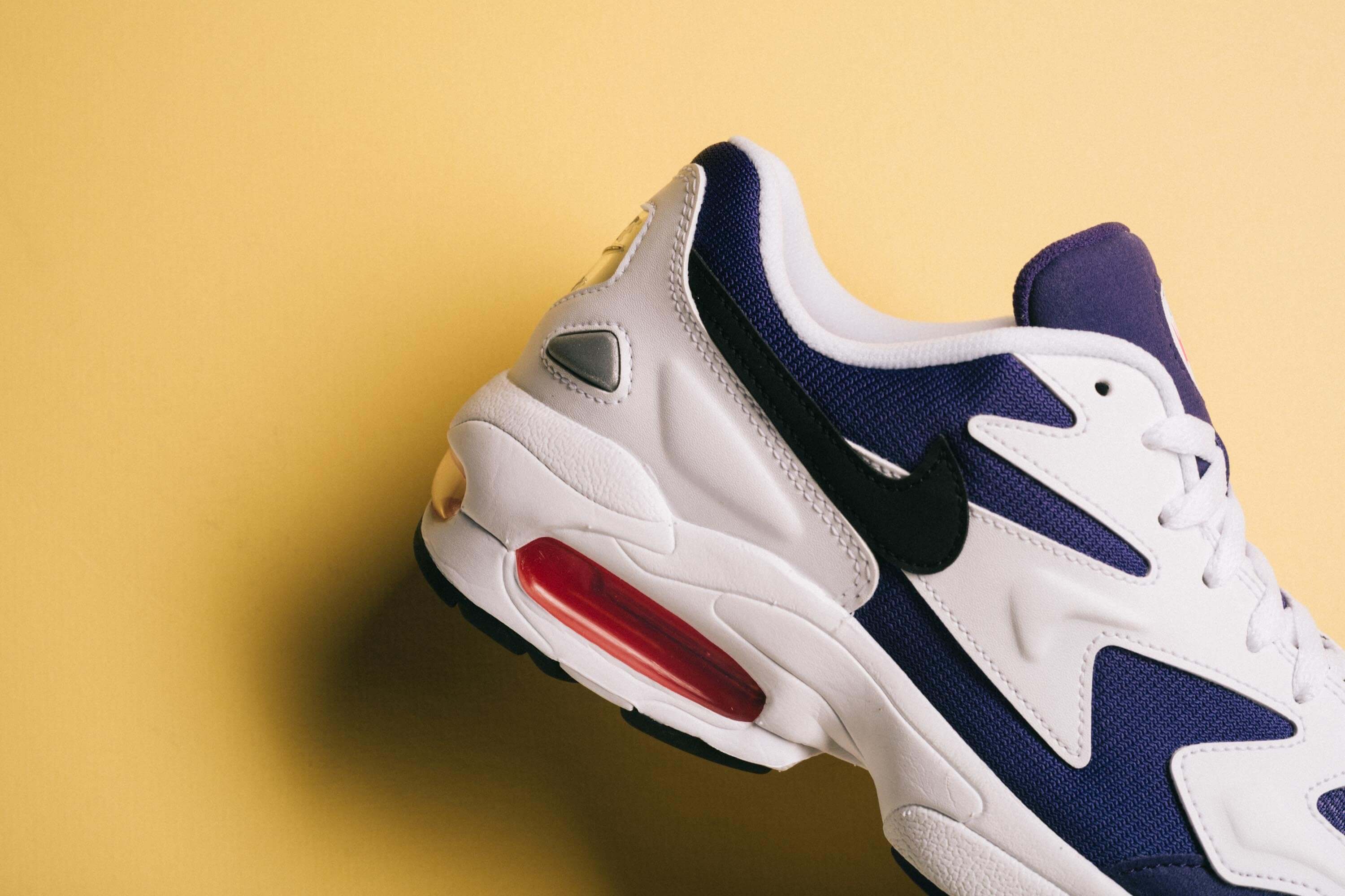 Air Max 2 Light 'Court Purple'