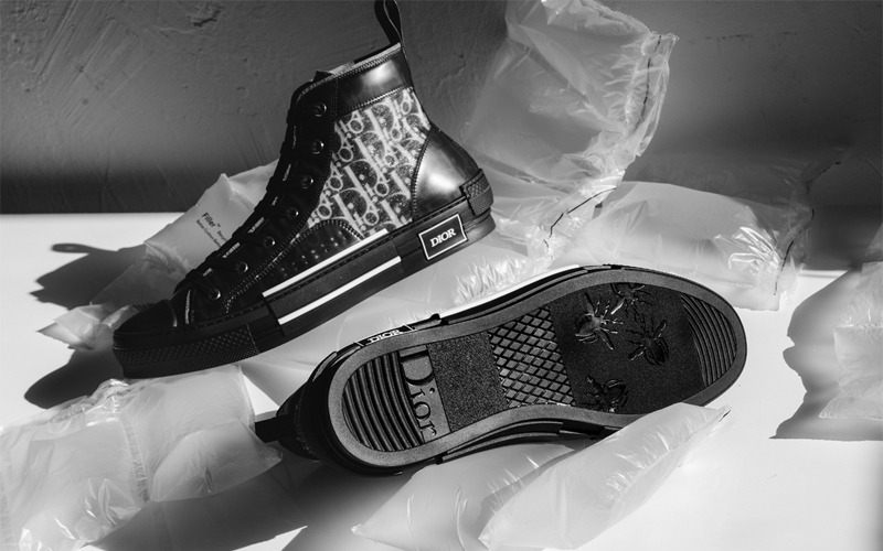 Dior B23 High-Top sneaker