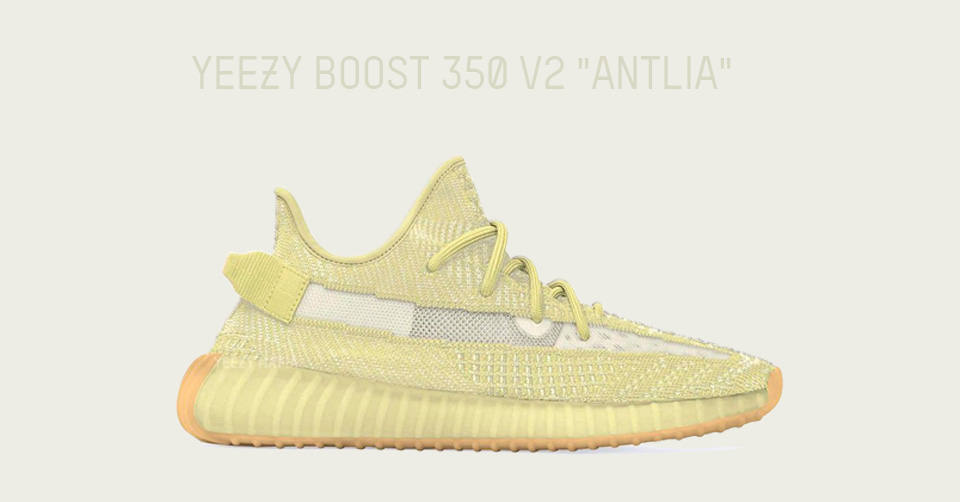 adidas yeezy boost 350 v2 dames blauw