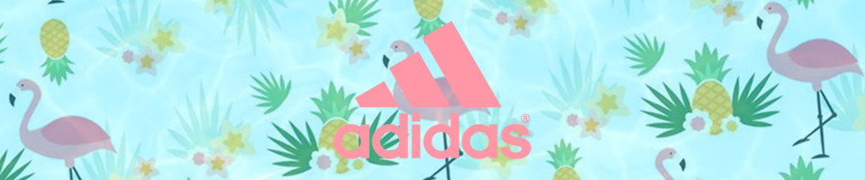 End of Season Sale