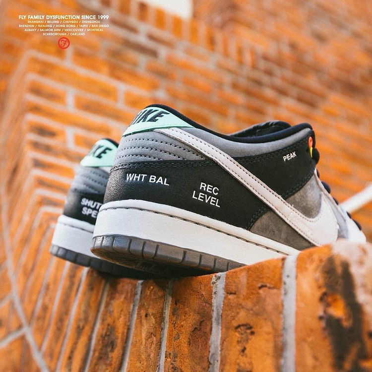 Nike Dunk Low 'VX1000'