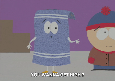 South Park Towelie
