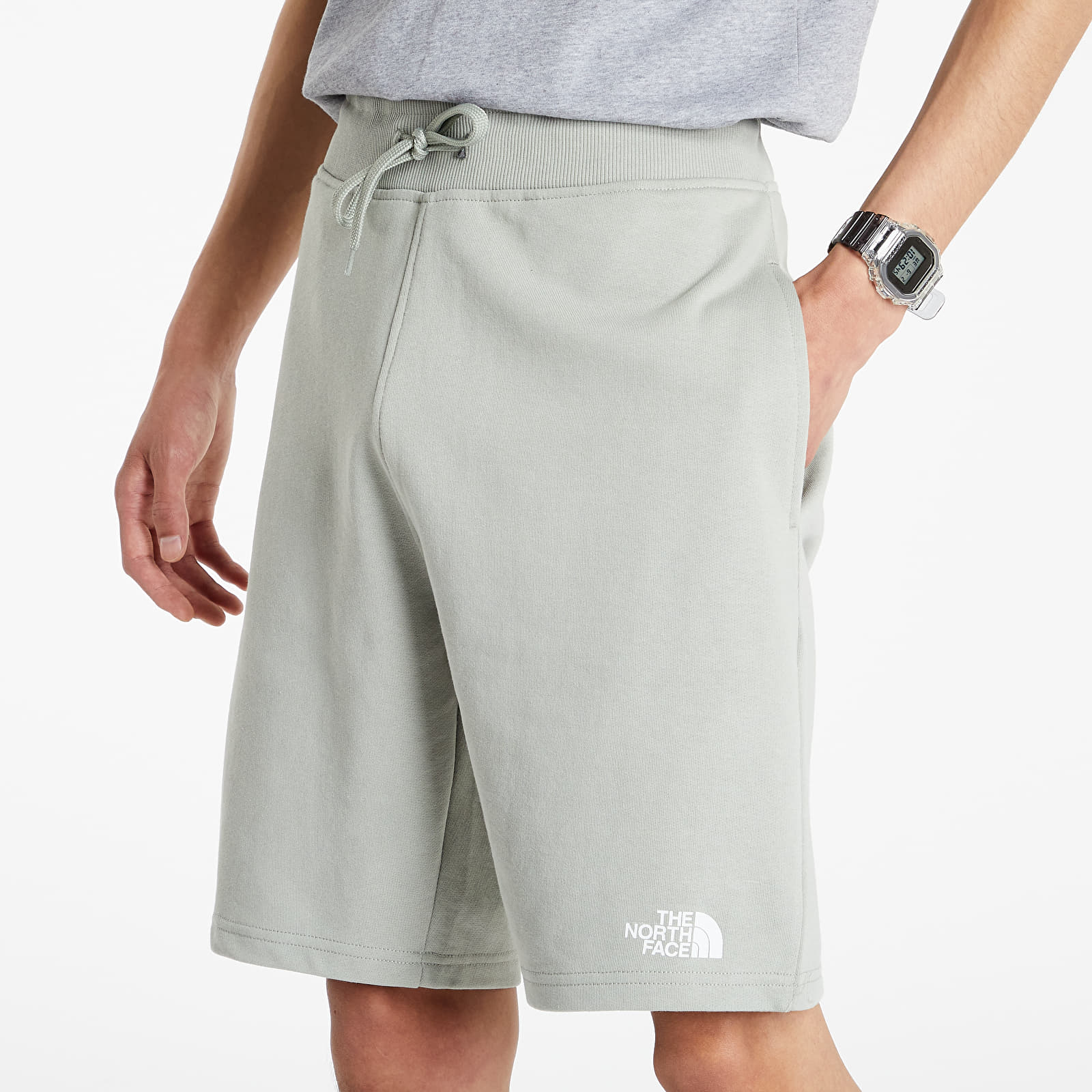 The north face standard shorts