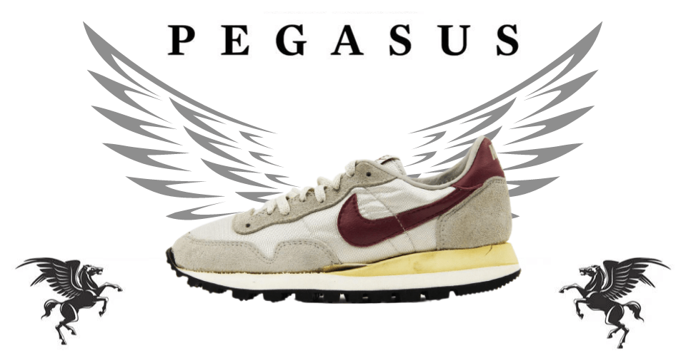 hervorming Mevrouw Potentieel De 5 meest bijzondere Nike Pegasus sneakers - Sneakerjagers