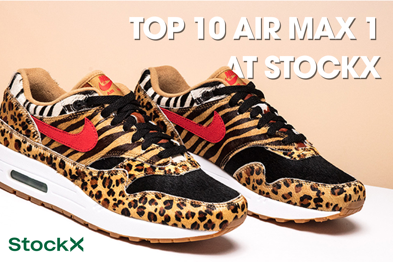 Beste Nike Air Max 1's bij StockX - 35th Anniversary edition