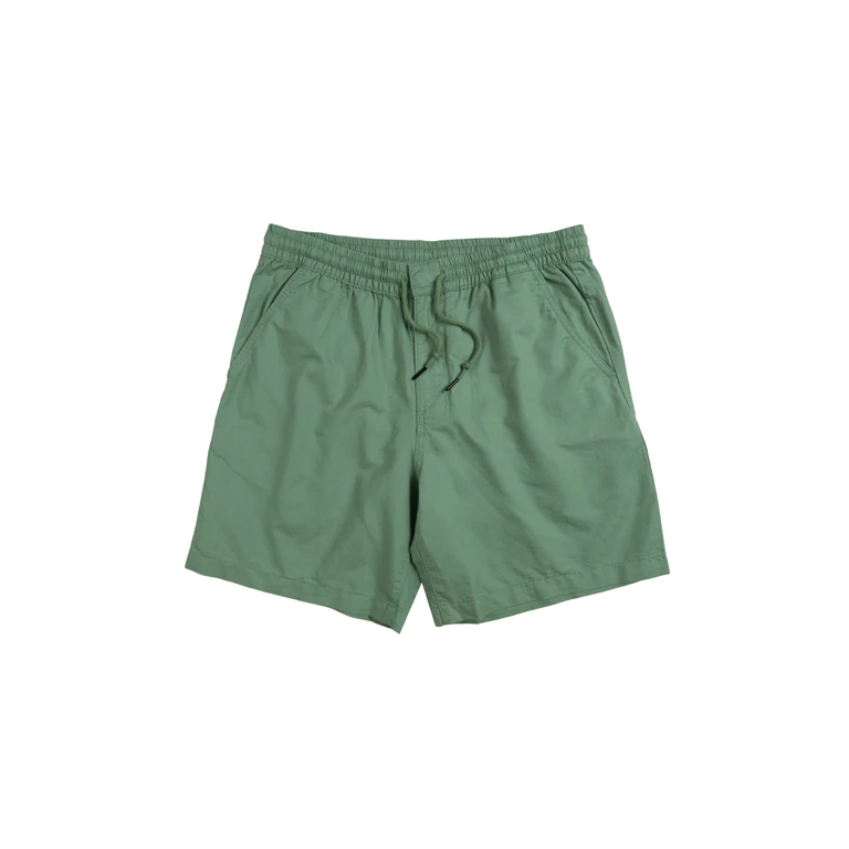 outfit picks week 20 Patagonia Lightweight All-Wear Hemp Volley Shorts