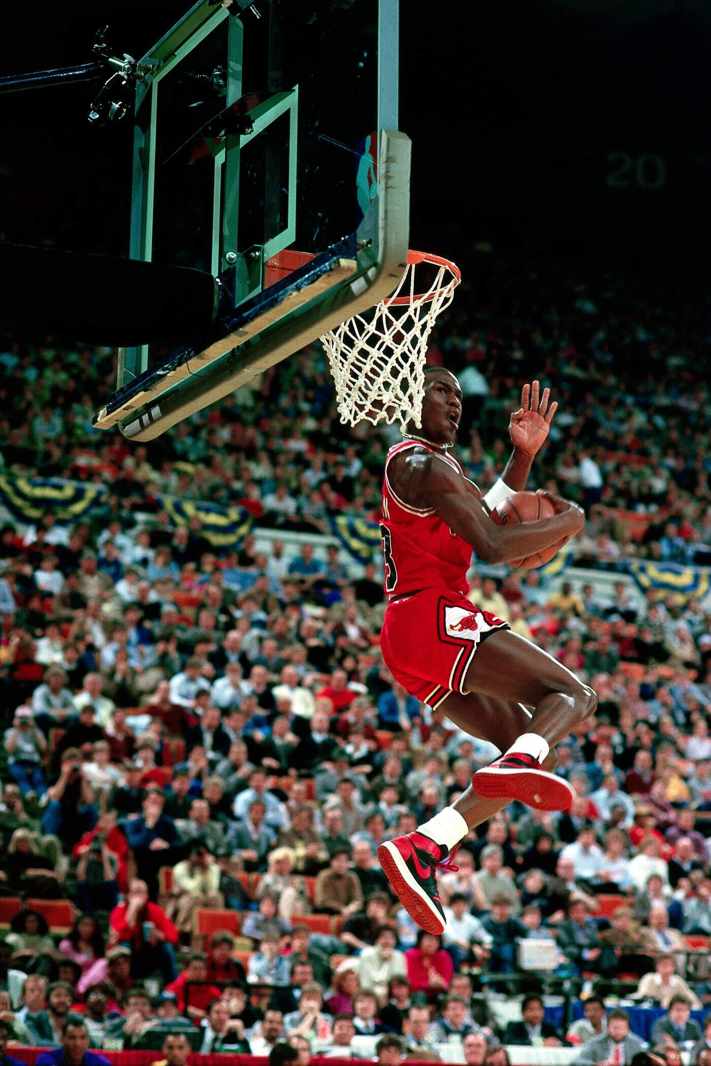 Michael Jordan Air Jordan 1 Banned