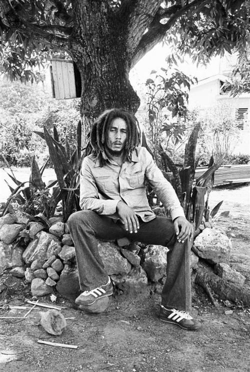Bob Marley adidas SL 72