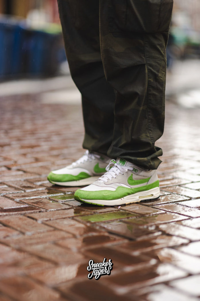 Chlorophyll air max 1 best sale