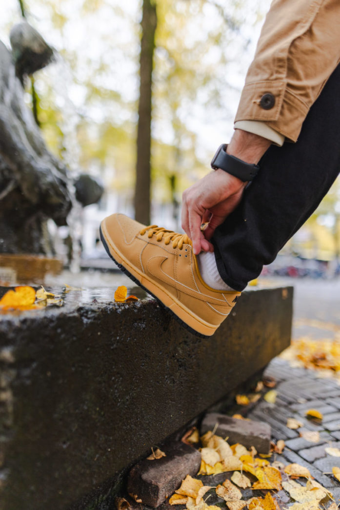 Nike Dunk Low Retro SE 'Wheat'