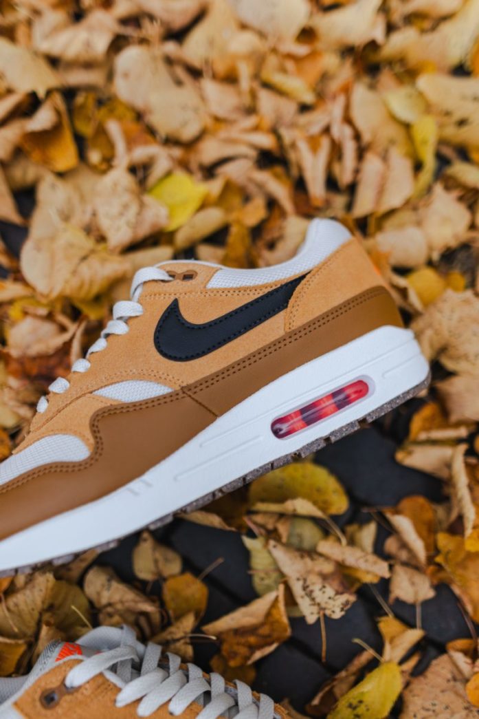 Nike Air Max 1 Essential 'Escape'