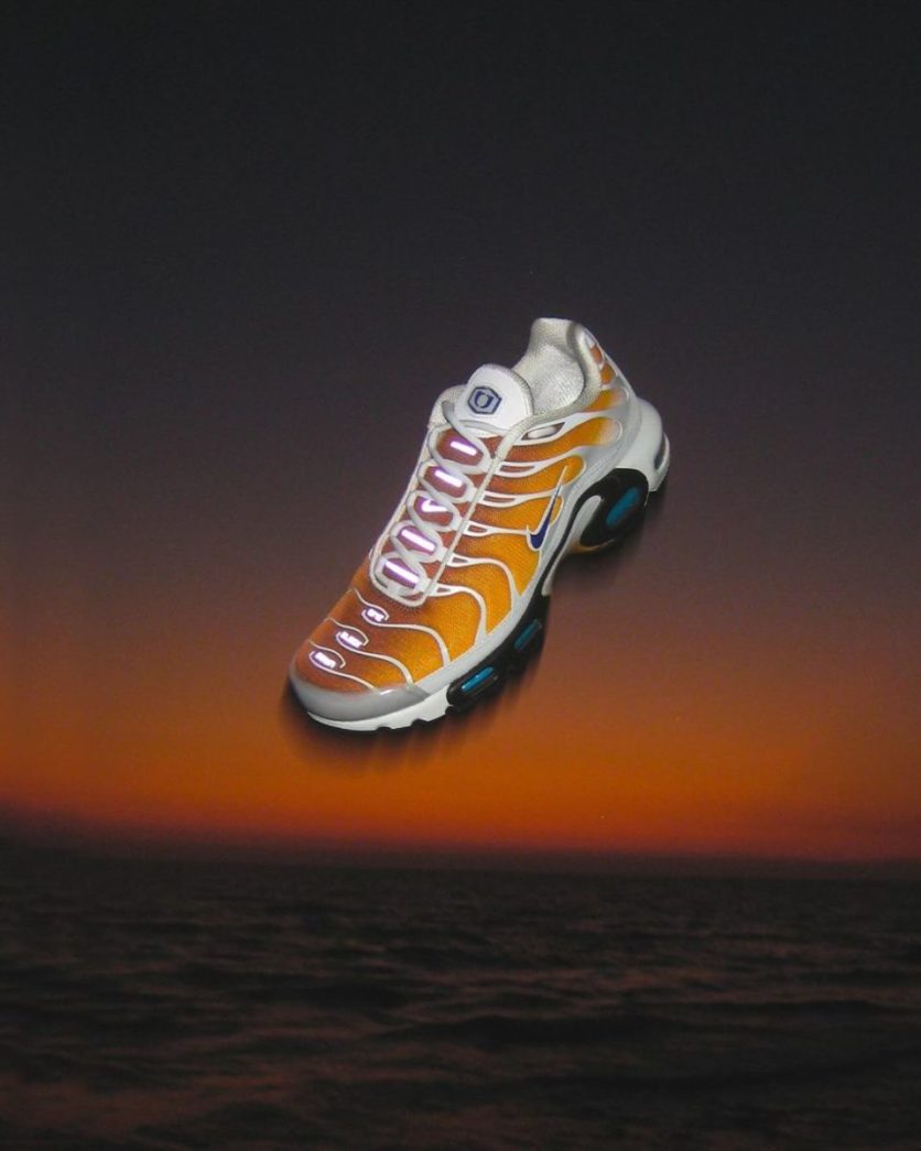 Nike Air Max Plus x One Block Down