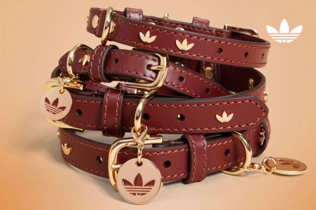 adidas pets collectie