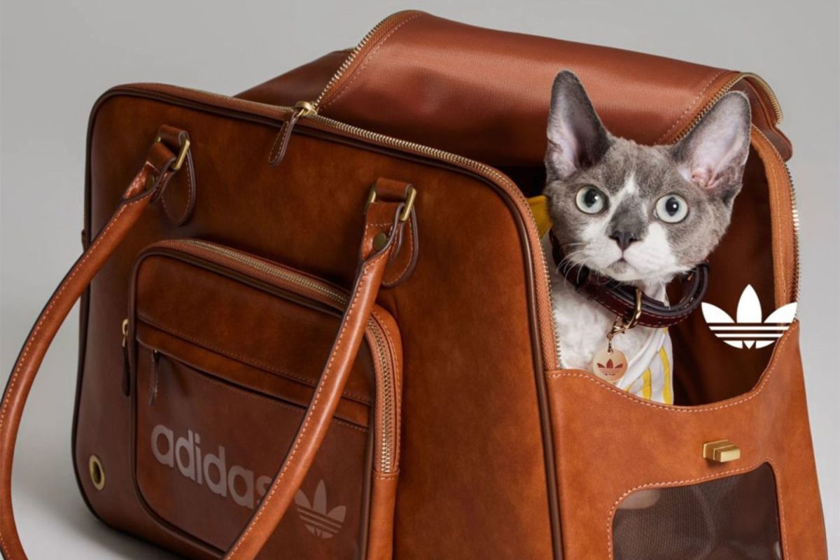 adidas pets collectie