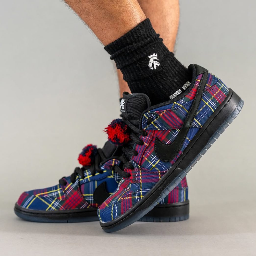 Nardwuar x Nike SB Dunk 2025