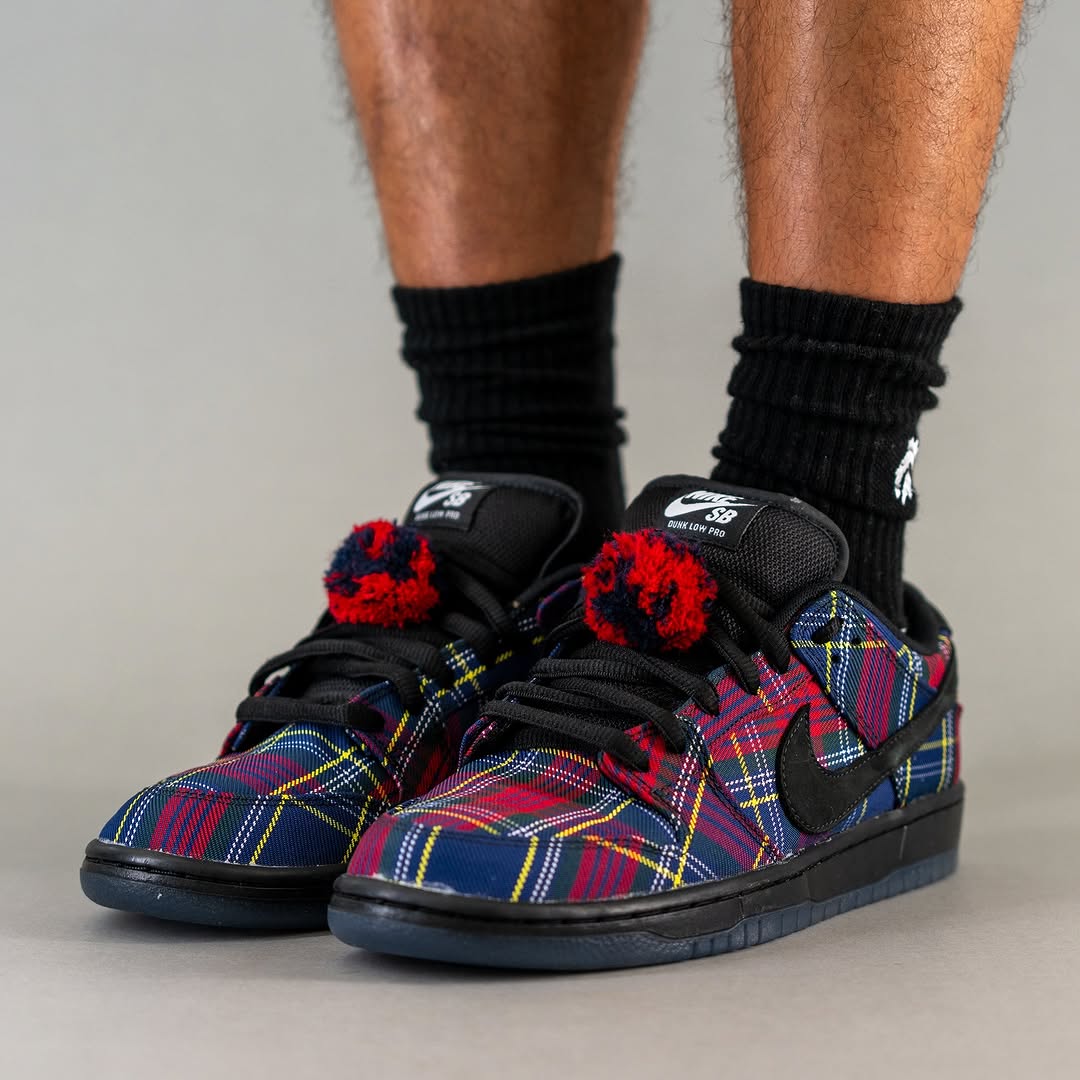 Nardwuar x Nike SB Dunk 2025