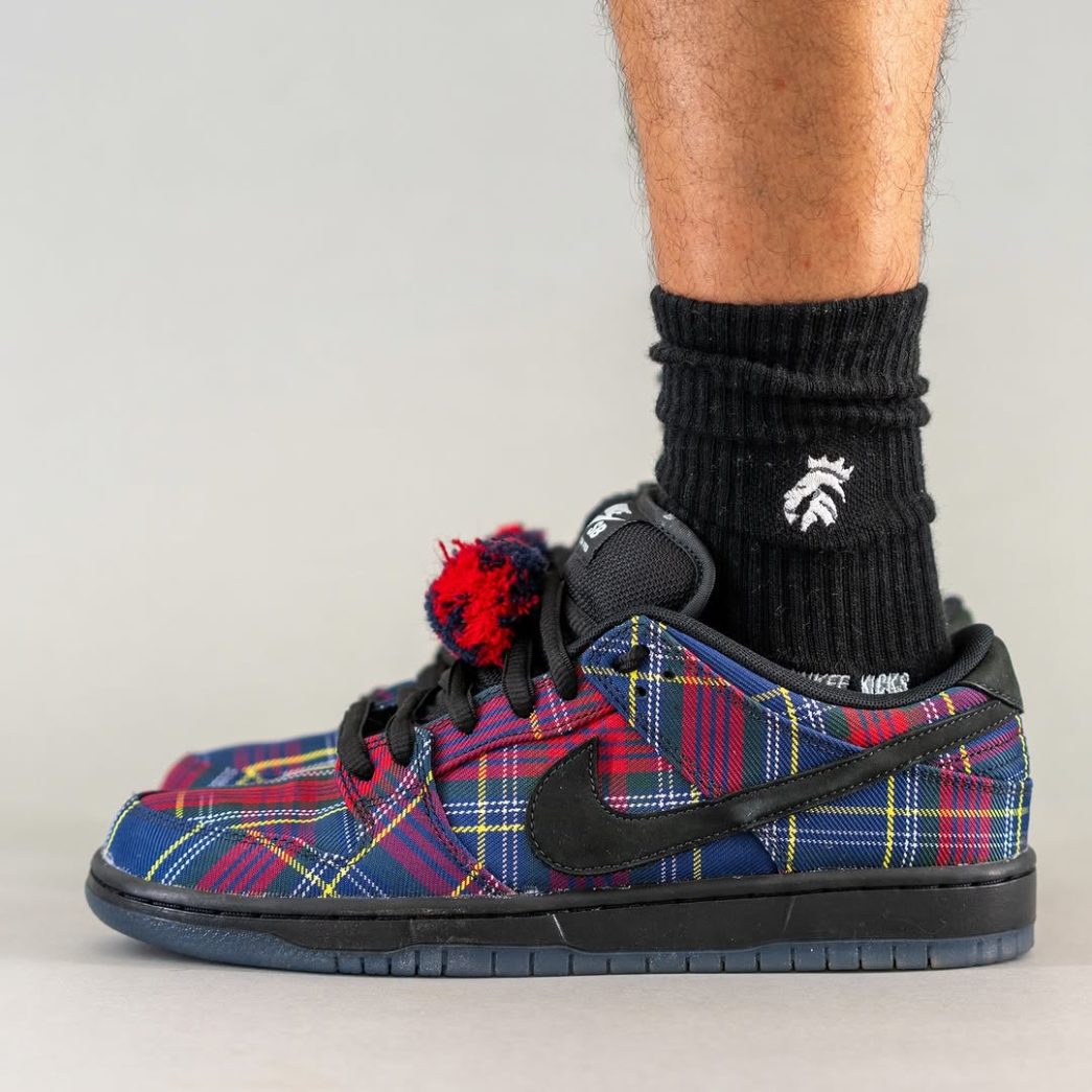 Nardwuar x Nike SB Dunk 2025