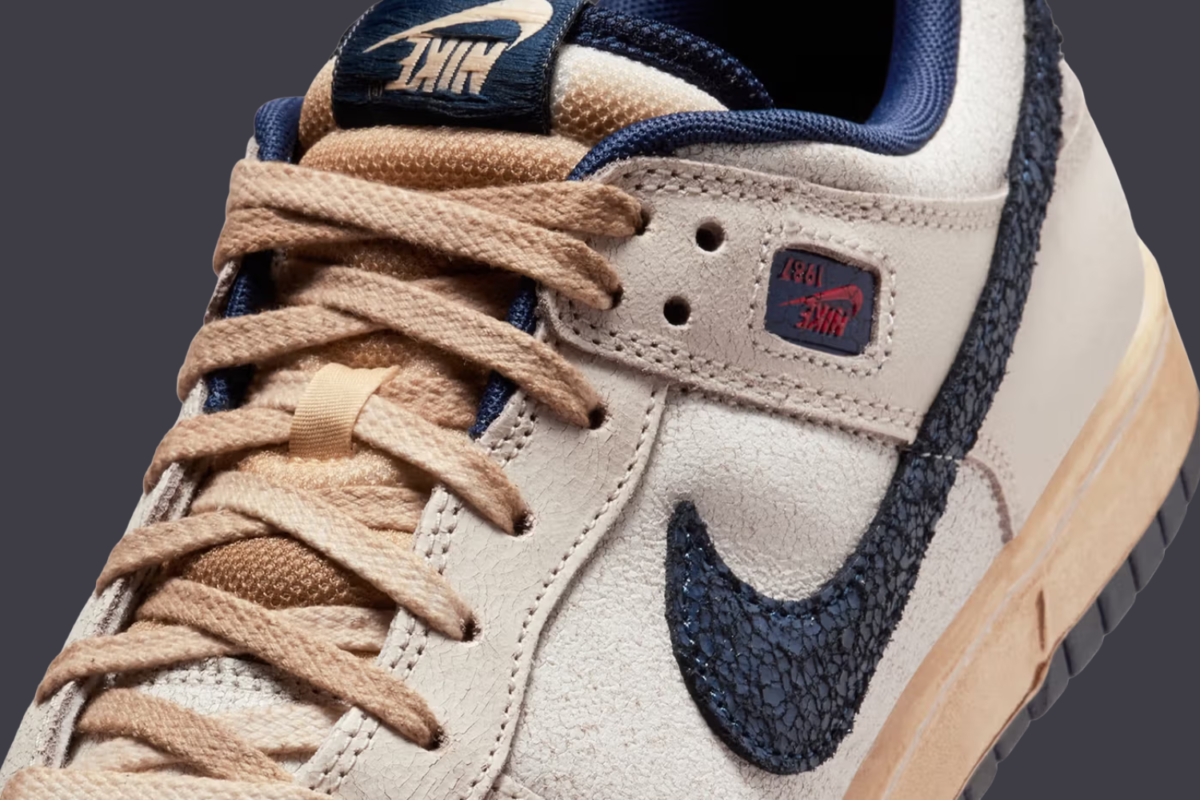 Sneaker Politics 28cm NIKE DUNK LOW SP x Stranger Things