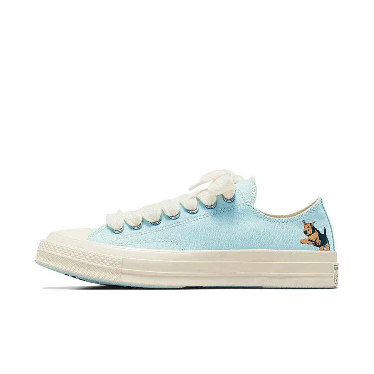 Golf Le Fleur x Converse Darryl Chuck 70 'Cooling Oasis'