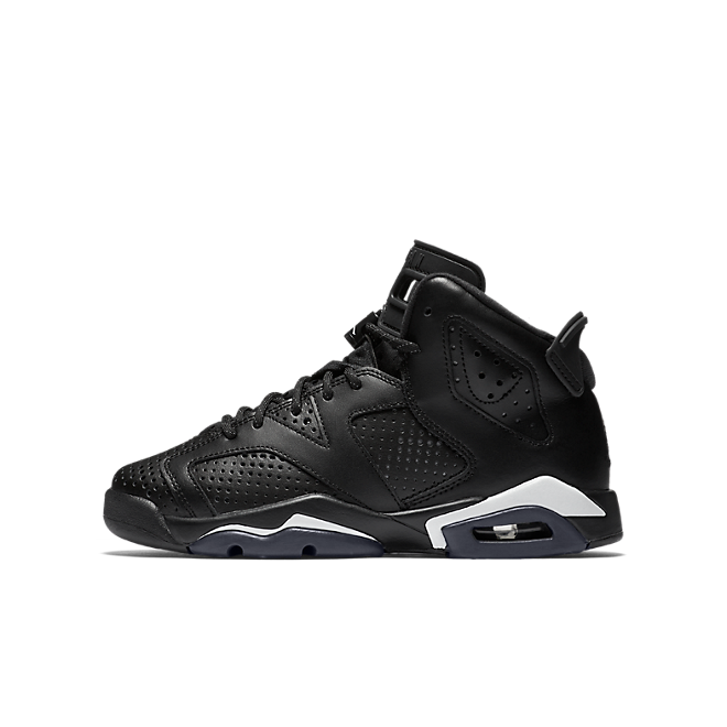 Jordan Air Jordan 6 Retro BG | 384665020 | Sneakerjagers