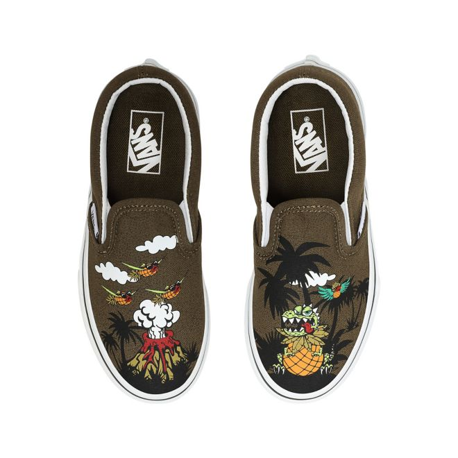 old skull vans