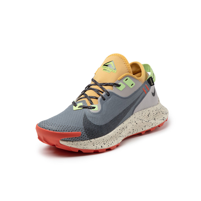 Nike Pegasus Trail 2 GTX Sneakerjagers
