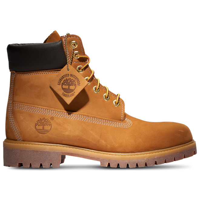 Timberland 6