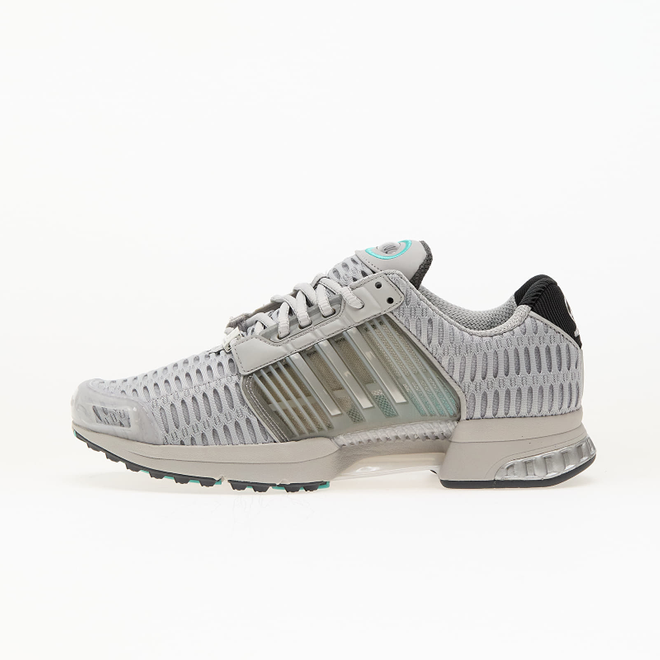 adidas gazelle silver green womens Adidas Asweego Raw White Grey