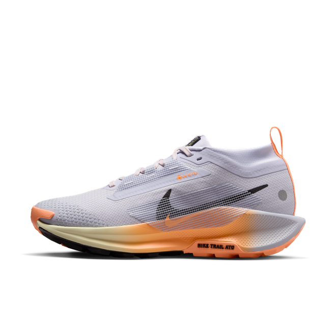Nike Pegasus Trail 4 GORE-TEX Waterproof Trail | DJ7926-007 | The