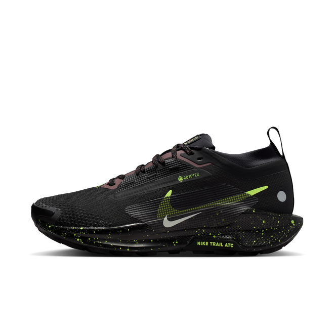 Nike Pegasus Trail 2 Trailrunning | CK4305-301 | The Drop Date