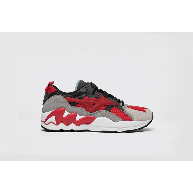 mizuno wave rider phoenix