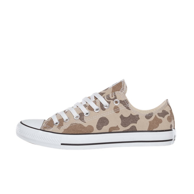 cheetah converse kohls