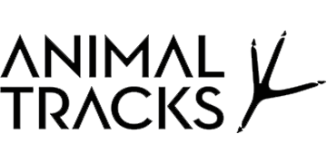 Animal Tracks